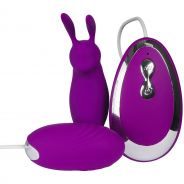 Baseks Bunny Tickler and Egg Vibrator with Remote Control
