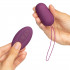 Amaysin Rechargeable Remote Control Love Egg  50