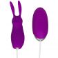 Baseks Bunny Tickler and Egg Vibrator with Remote Control  4